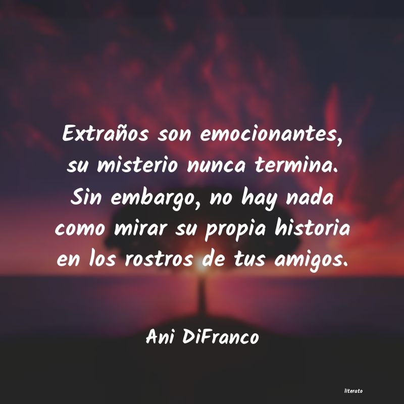 frases de Ani DiFranco