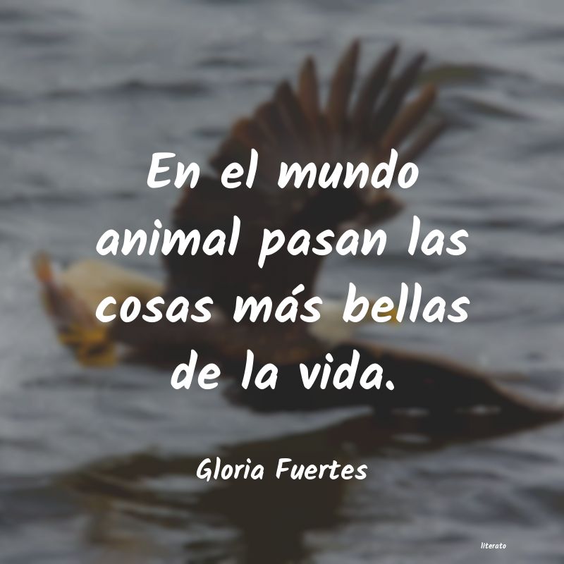 Frases de Gloria Fuertes