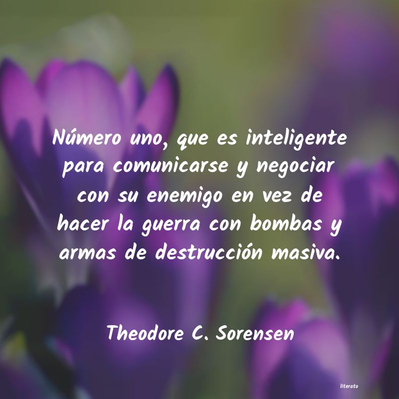 Frases de Theodore C. Sorensen