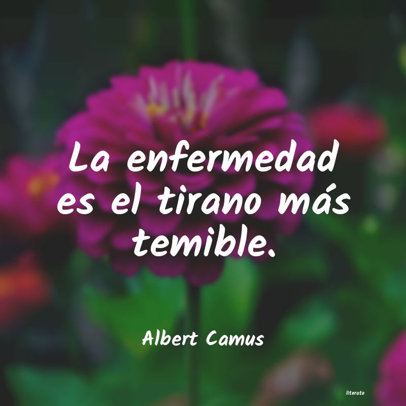 frases de Albert Camus