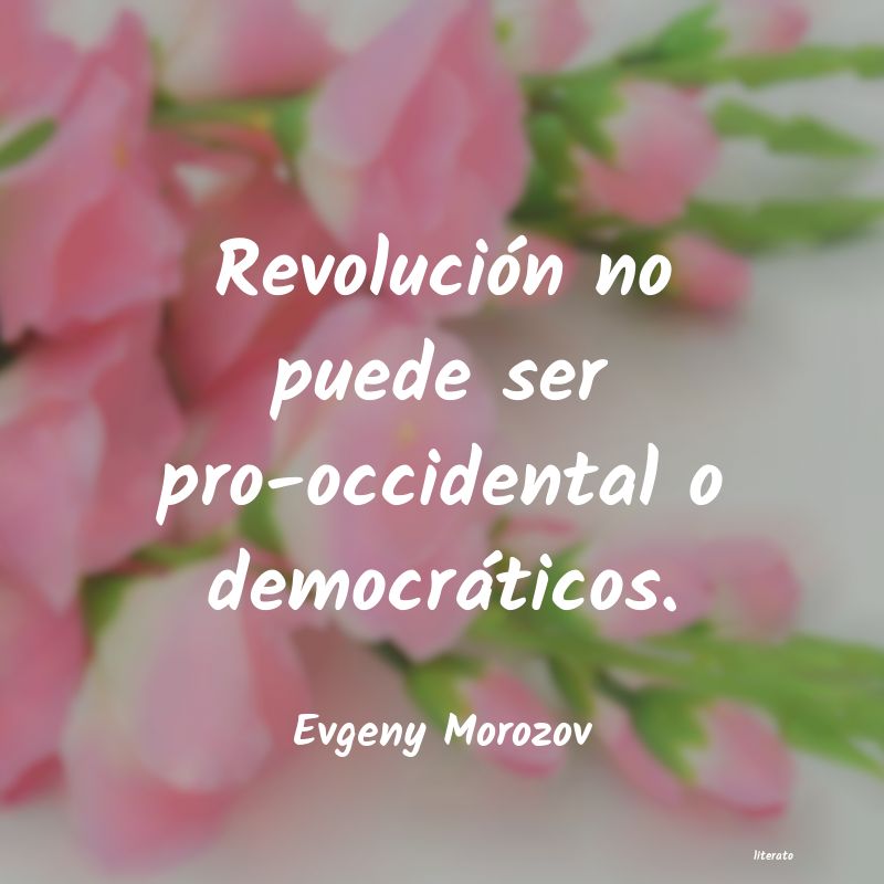 frases de Evgeny Morozov