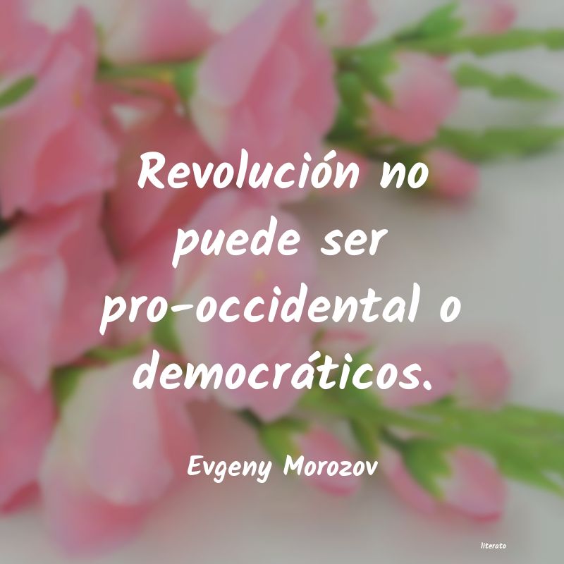 Frases de Evgeny Morozov