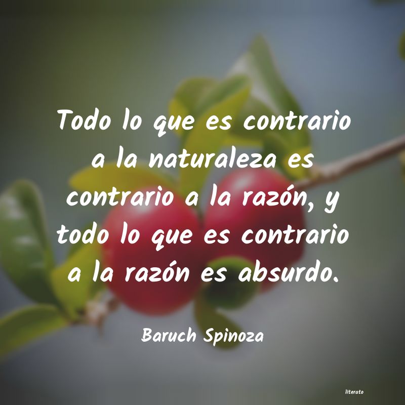 frases de Baruch Spinoza
