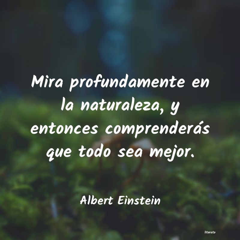 albert einstein citas simple
