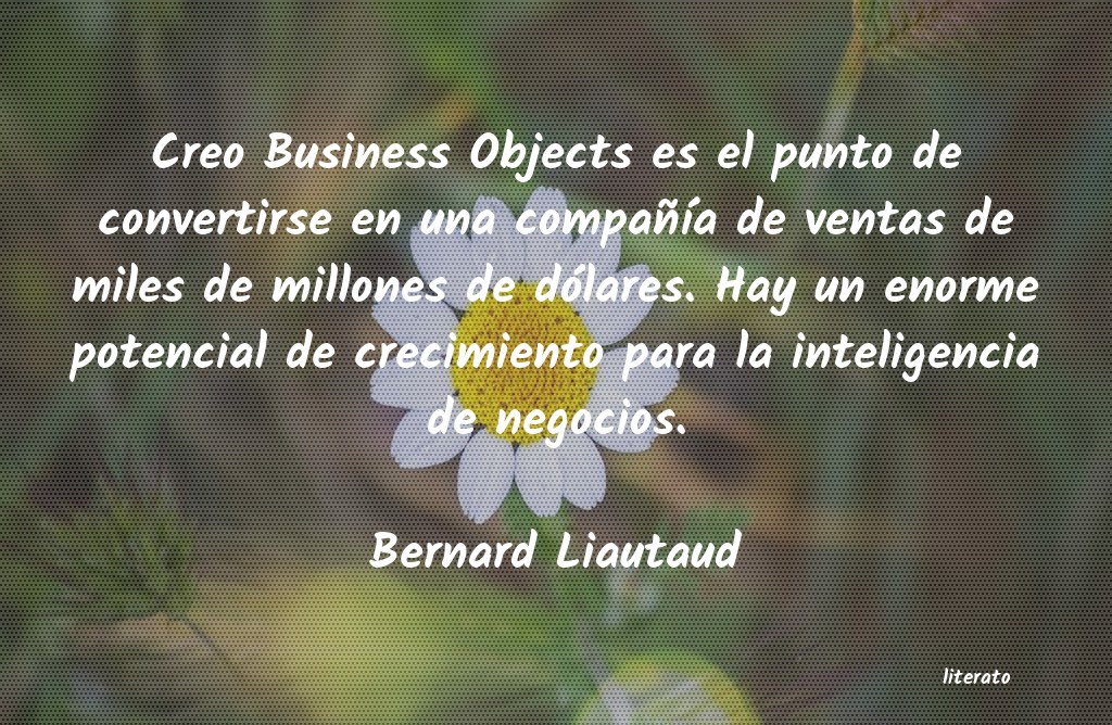 frases de Bernard Liautaud