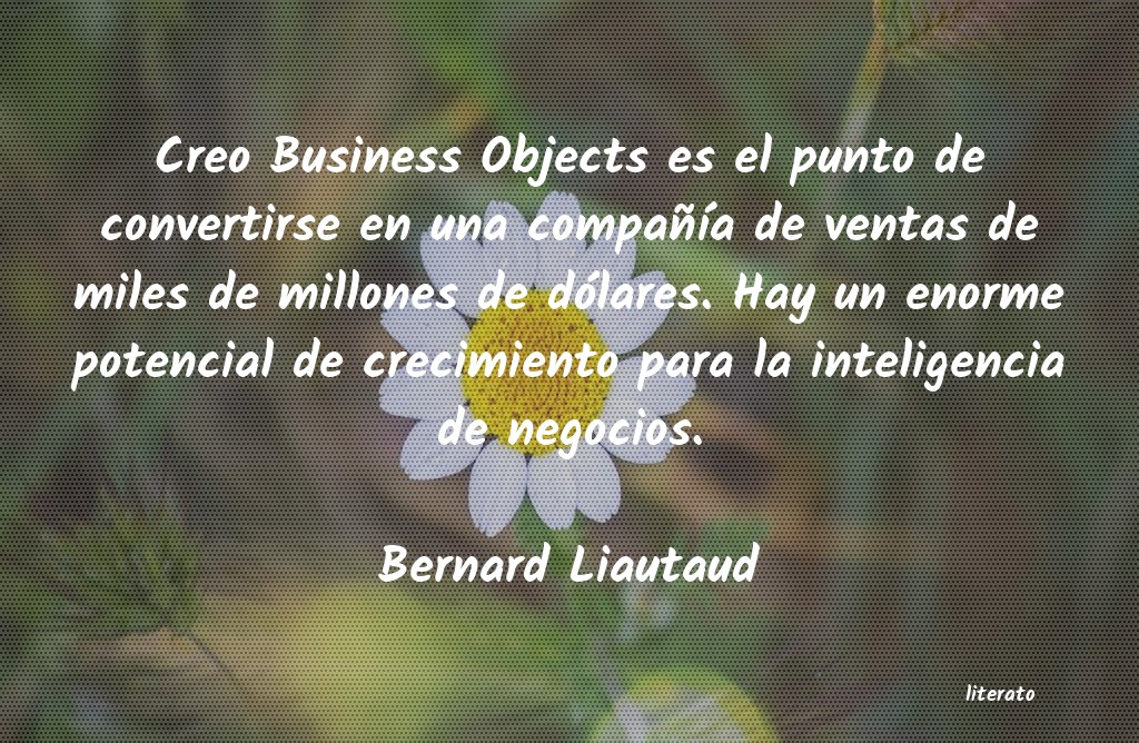 Frases de Bernard Liautaud