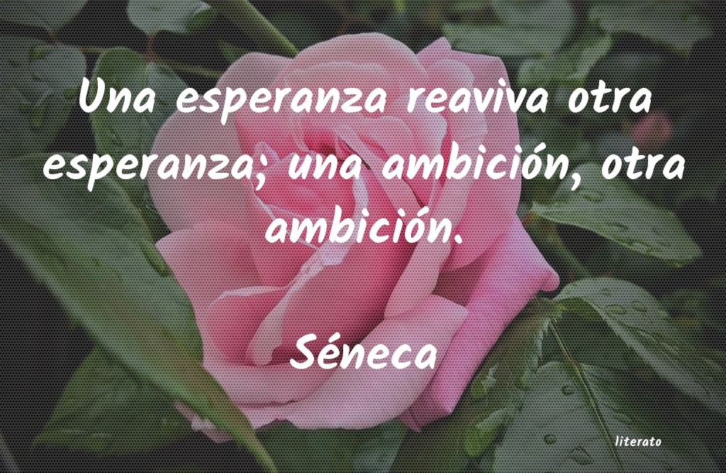 frases de SÃ©neca