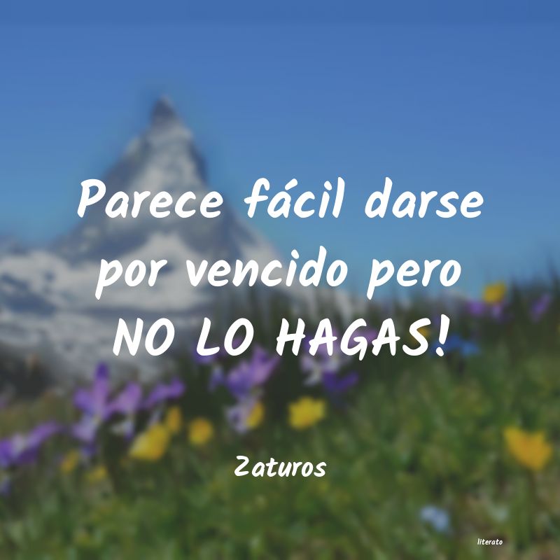 frases de Zaturos