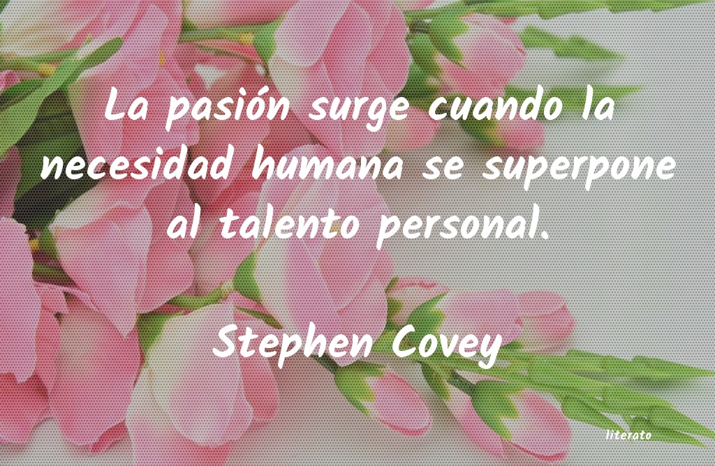 Frases de Stephen Covey