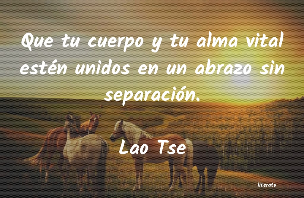 Frases de Lao Tse