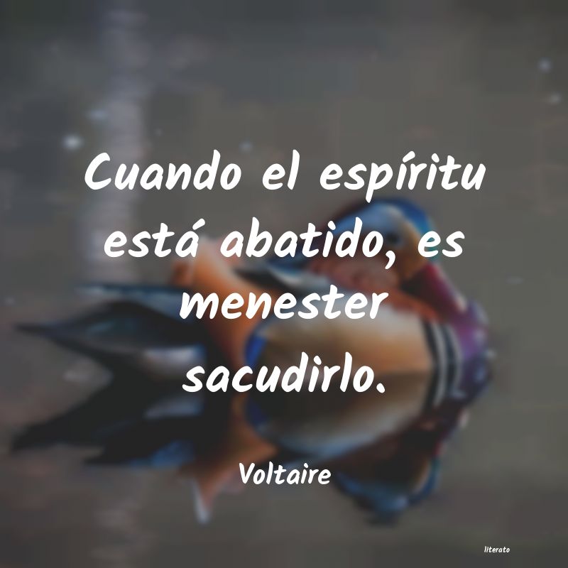 frases de Voltaire