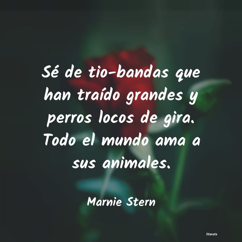 Frases de Marnie Stern