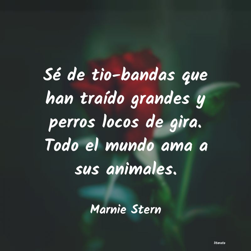 frases de Marnie Stern