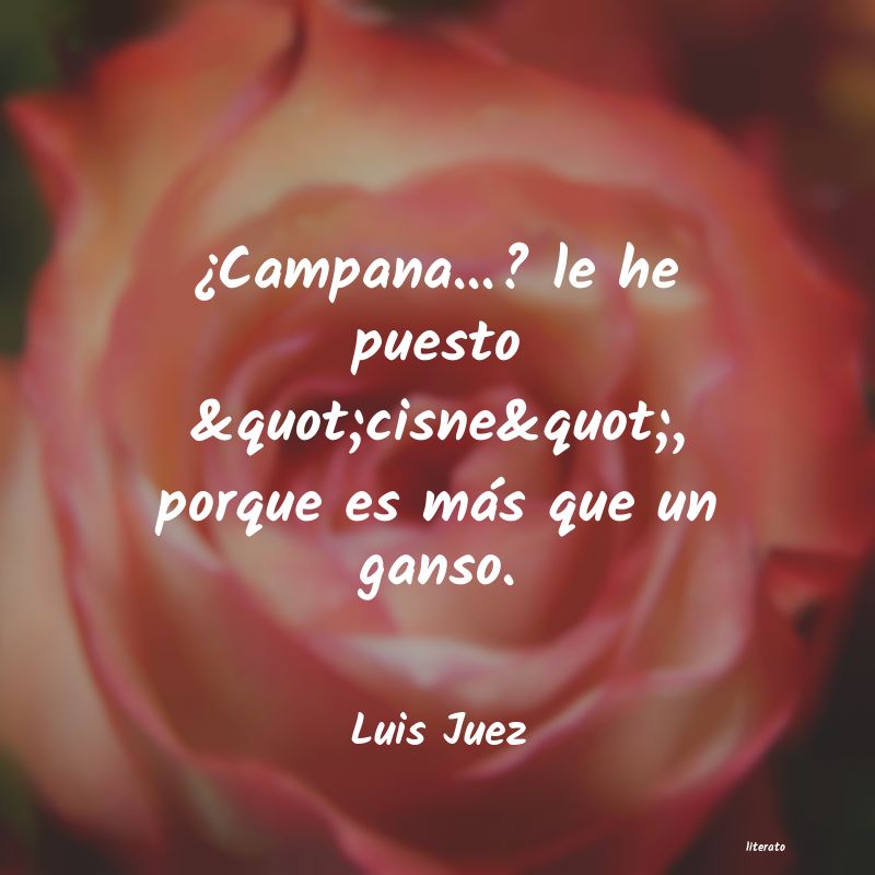 Frases de Luis Juez