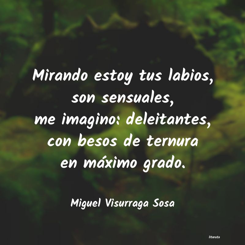 Frases de Miguel Visurraga Sosa