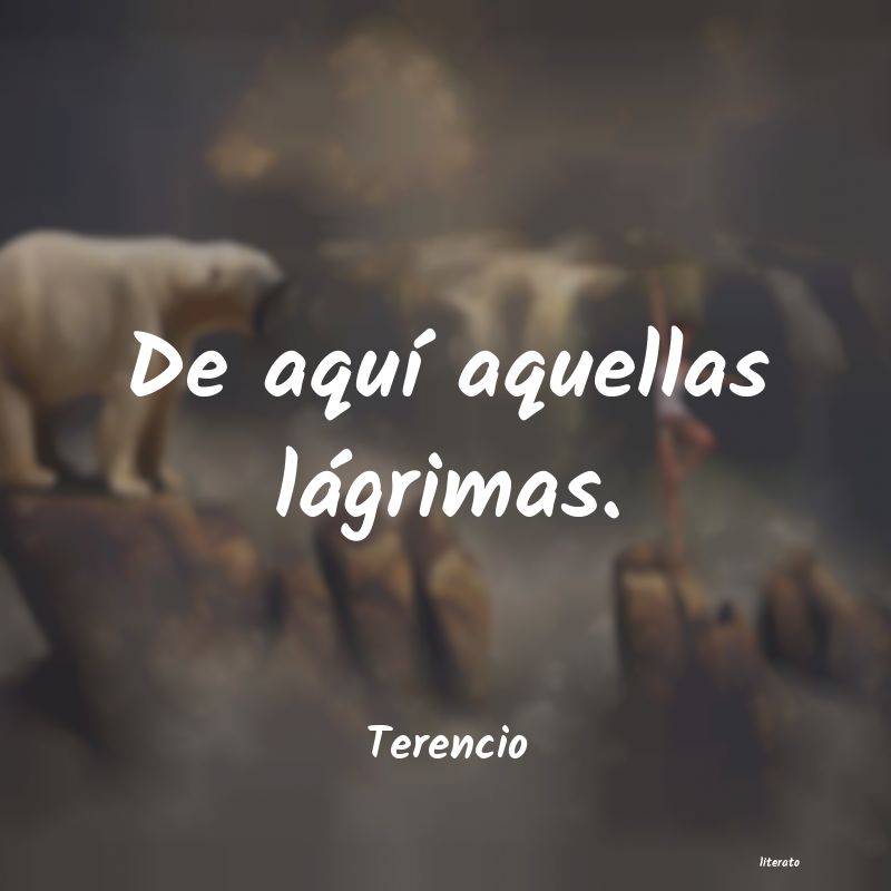 Frases de Terencio