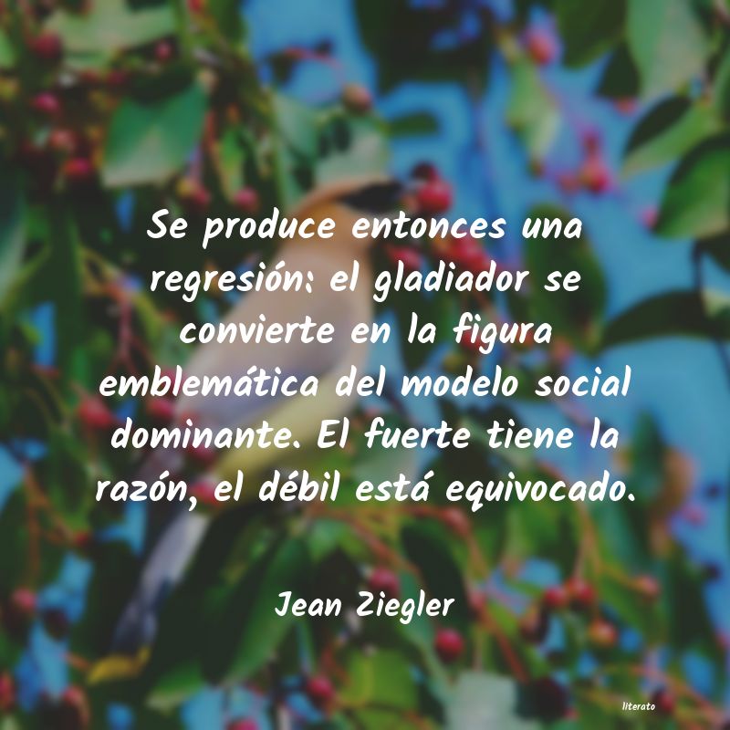 Frases de Jean Ziegler