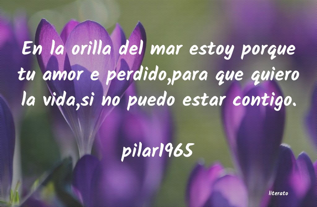 Frases de pilar1965