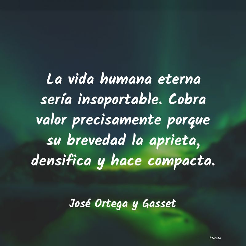 Frases de José Ortega y Gasset