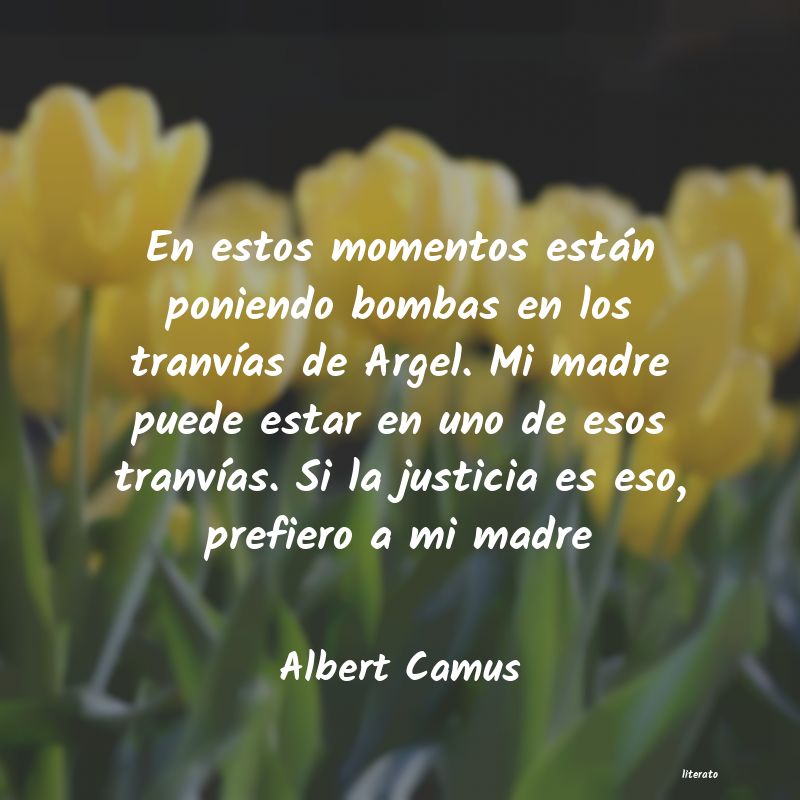 frases de Albert Camus