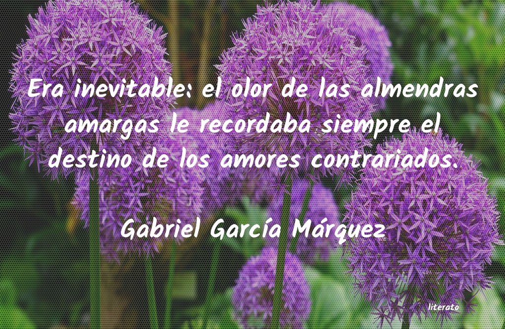 frases de Gabriel GarcÃa Márquez