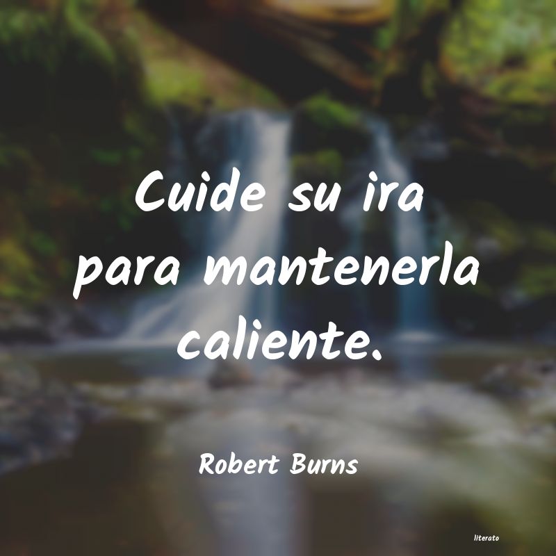 Frases de Robert Burns