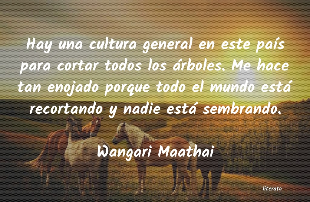 frases de Wangari Maathai