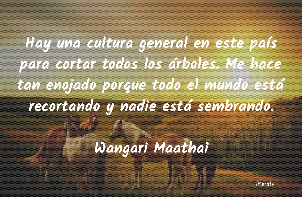 Frases de Wangari Maathai