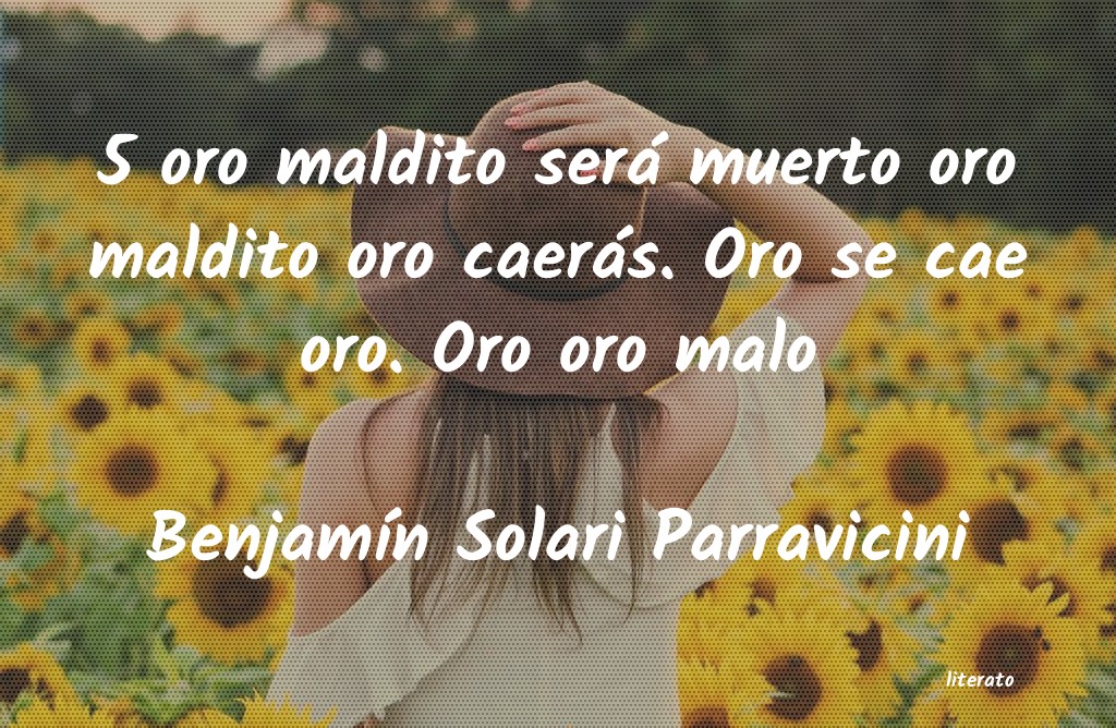 Frases de Benjamín Solari Parravicini