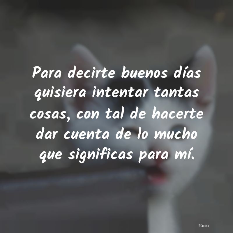 frases