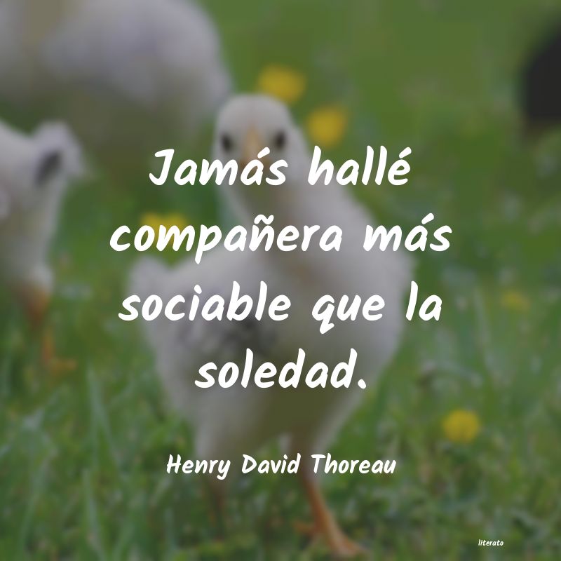 Frases de Henry David Thoreau