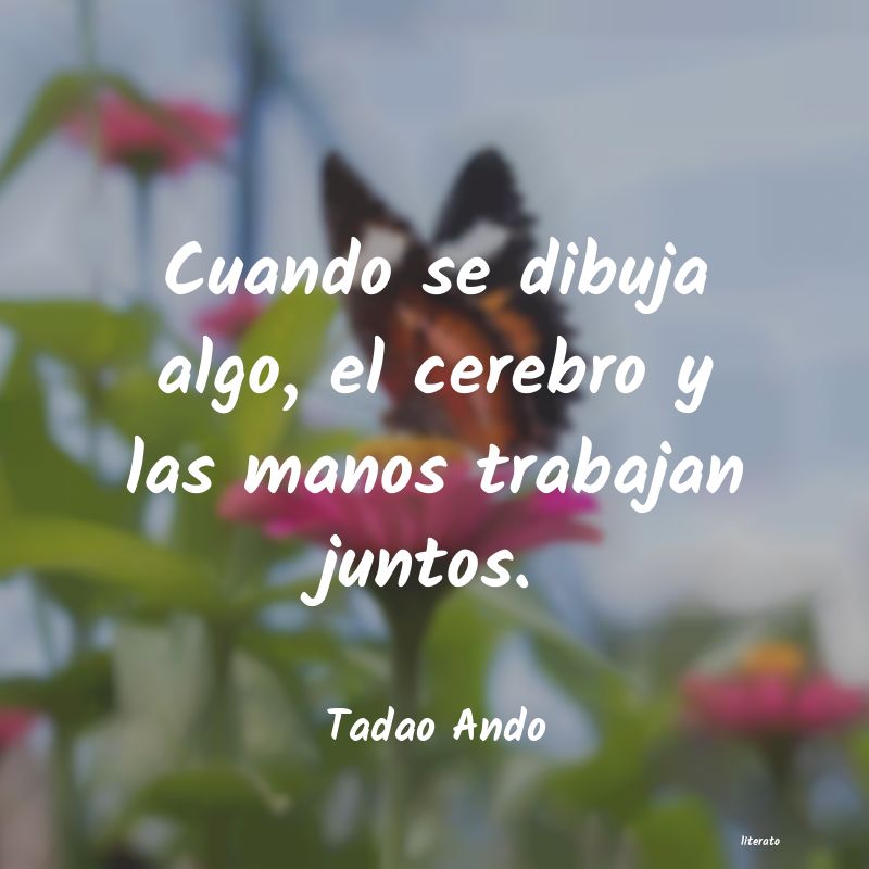 Frases de Tadao Ando