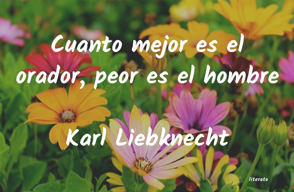 frases de Karl Liebknecht