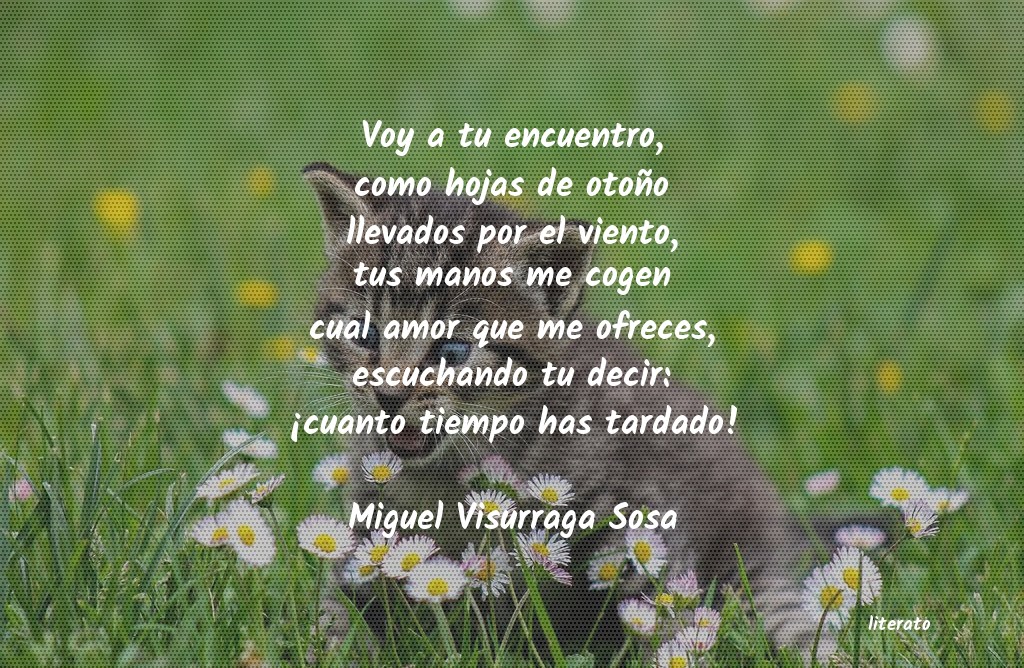 Frases de Miguel Visurraga Sosa