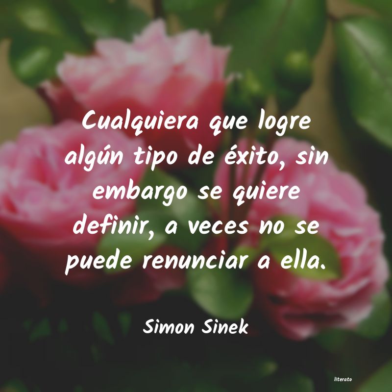 Frases de Simon Sinek