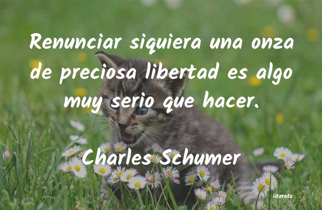 Frases de Charles Schumer