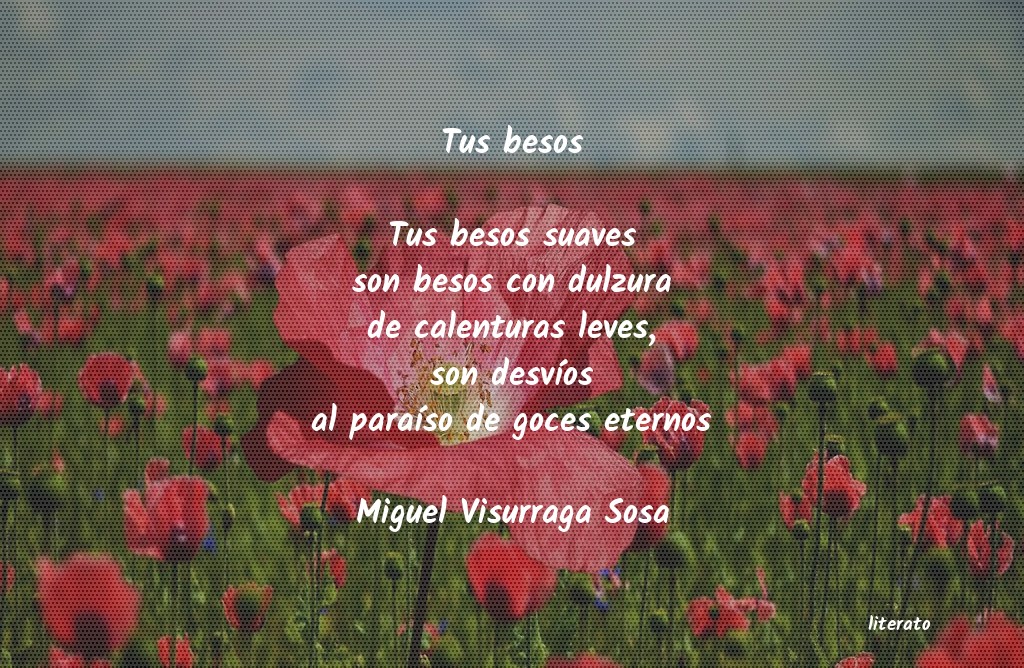 frases de Miguel Visurraga Sosa