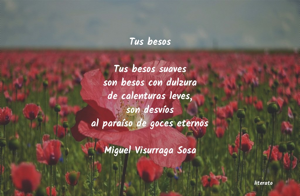 Frases de Miguel Visurraga Sosa