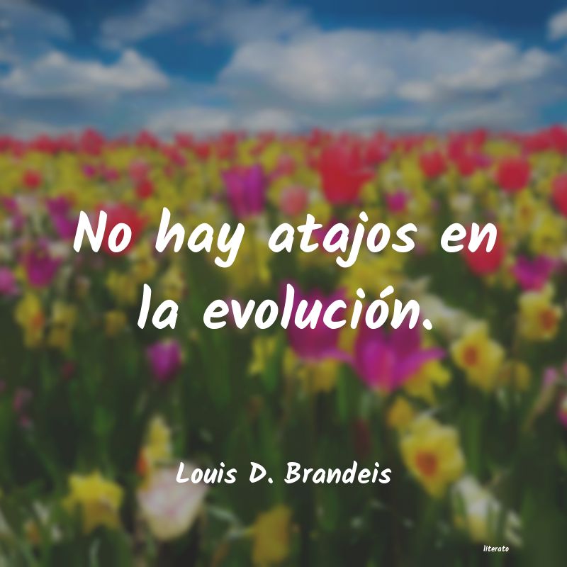 Frases de Louis D. Brandeis