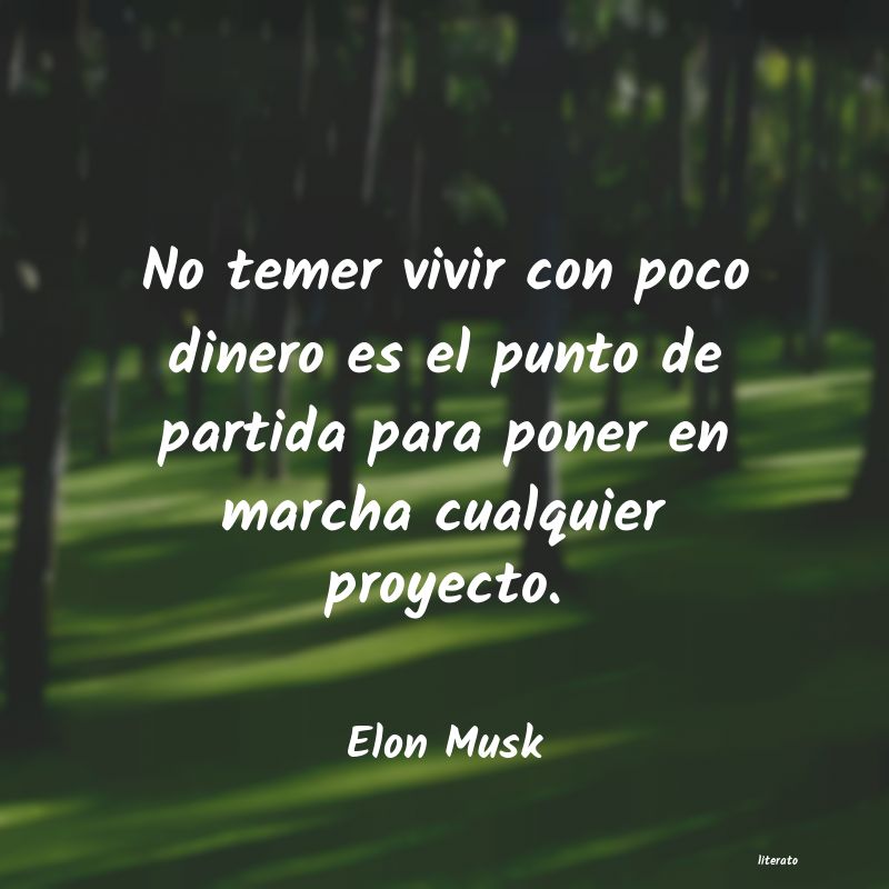 Frases de Elon Musk