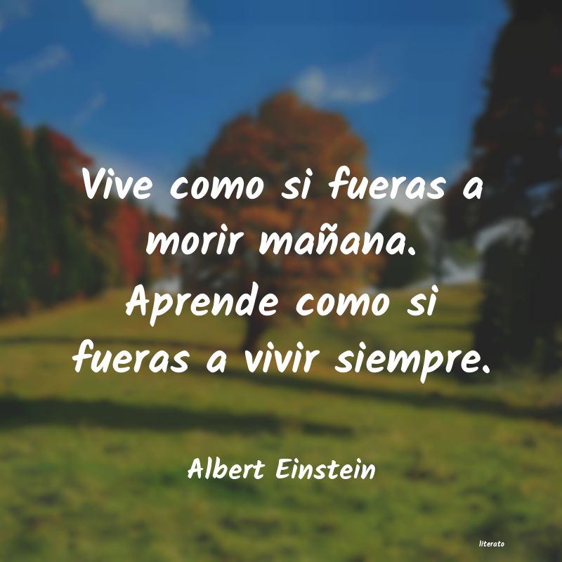 Frases de Albert Einstein