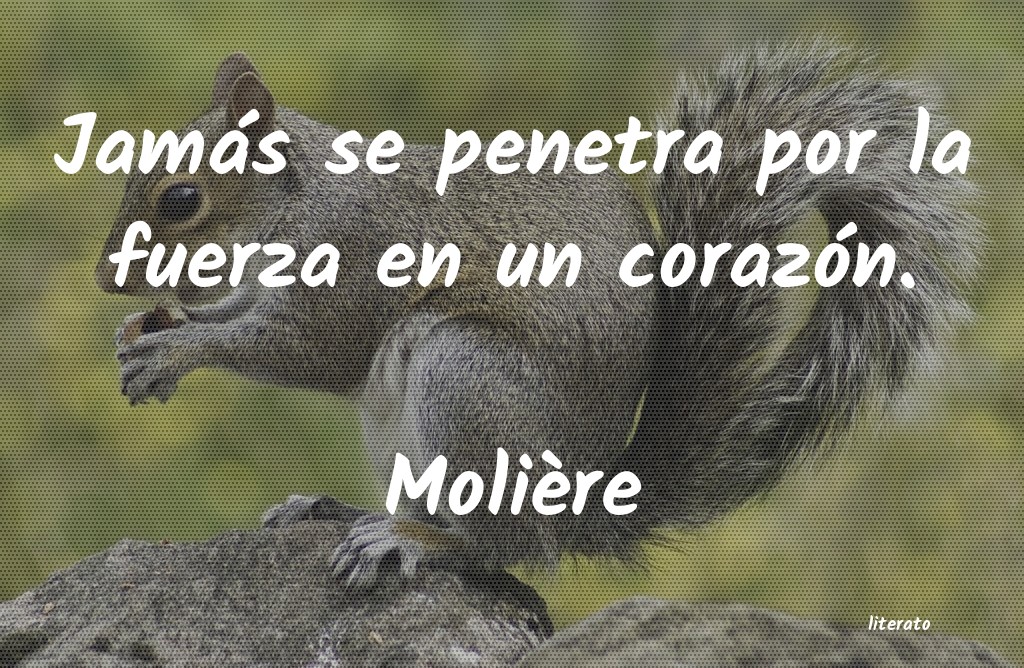 frases de Molière
