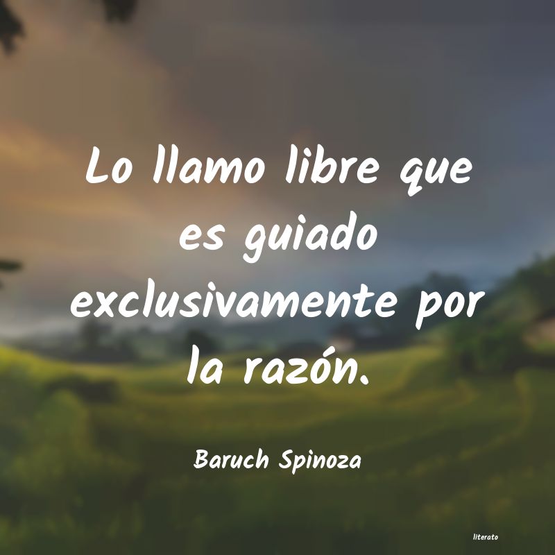 Frases de Baruch Spinoza