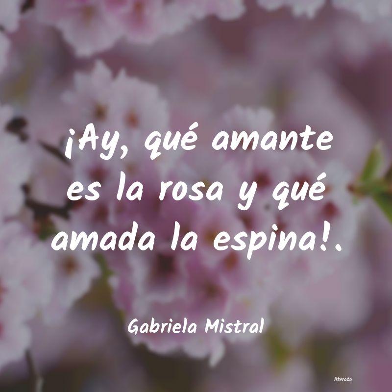 Frases de Gabriela Mistral