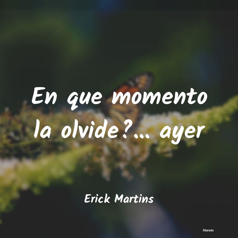 Frases de Erick Martins