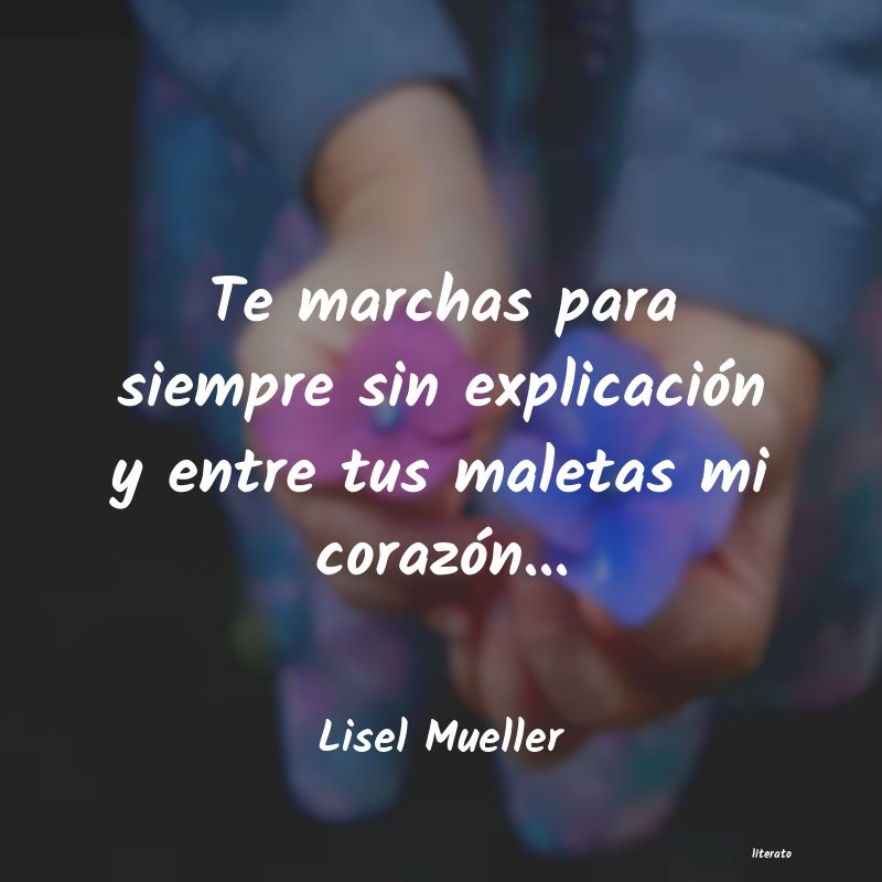 Frases de Lisel Mueller