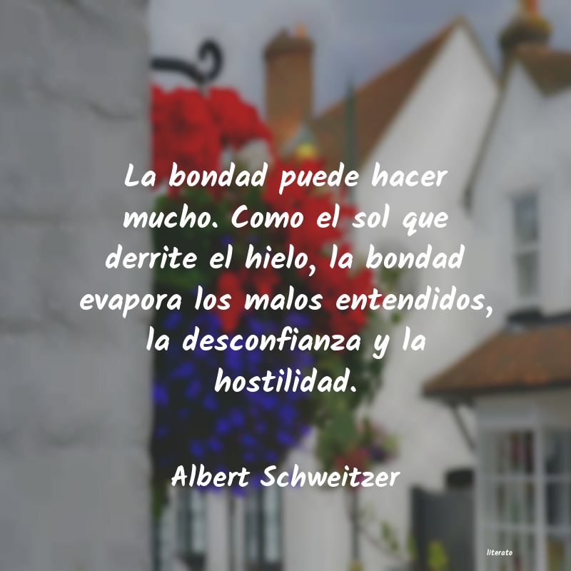 frases de Albert Schweitzer