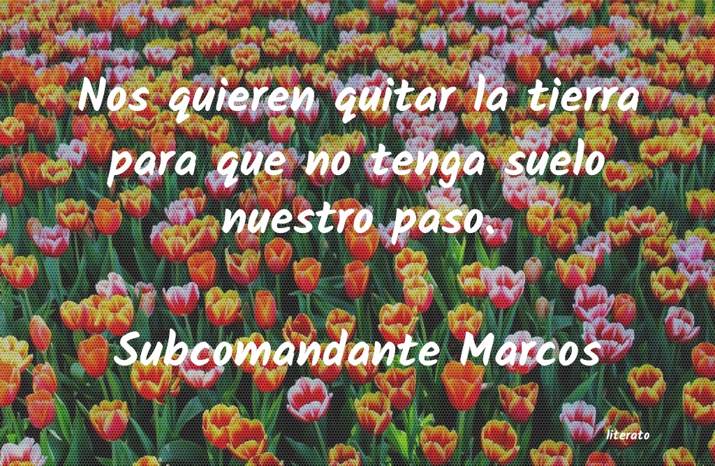 Frases de Subcomandante Marcos