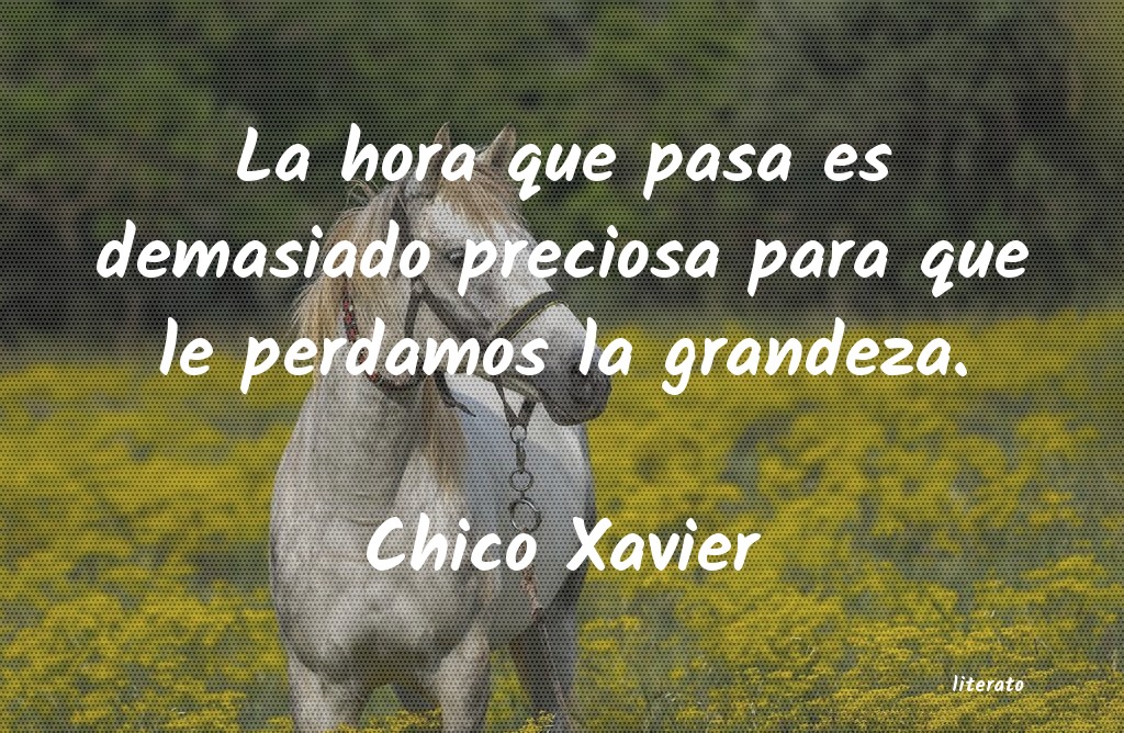 Frases de Chico Xavier