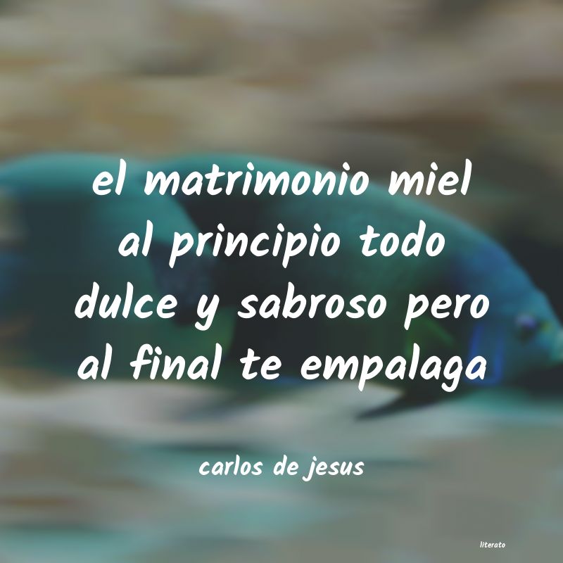 frases de carlos de jesus